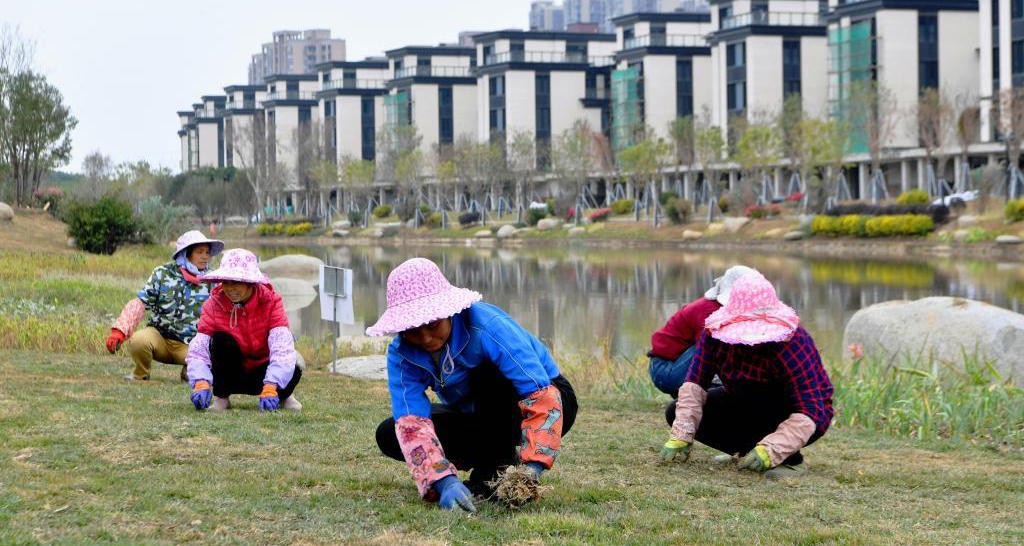 福州：推动河湖水系治理打造生态新家园