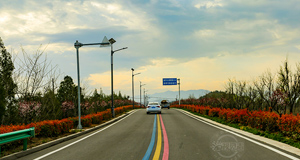 沿黄旅游公路春景如画