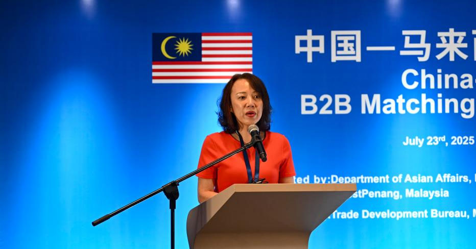 中马电子行业对接会探讨合作新机遇