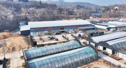 配图1
