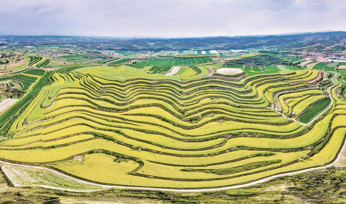 配图1