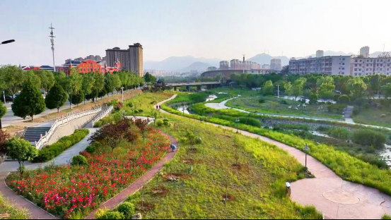 配图9