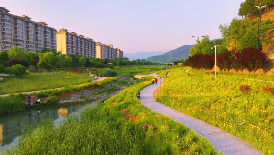 配图4