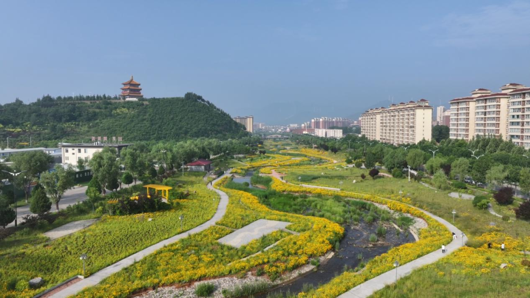 配图1