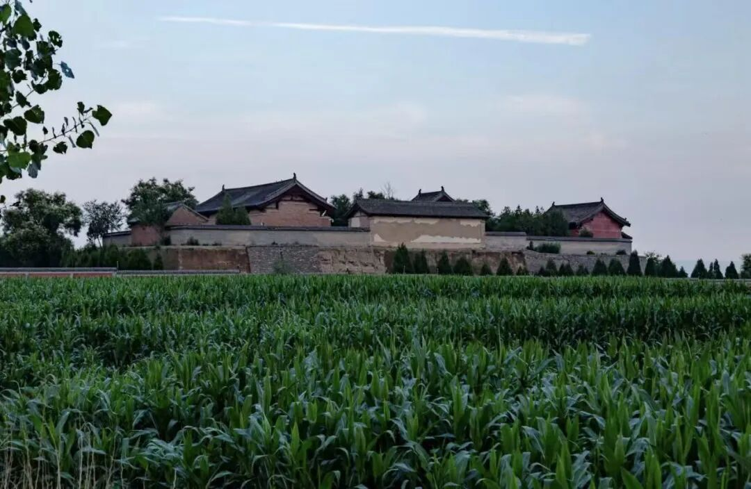 配图21