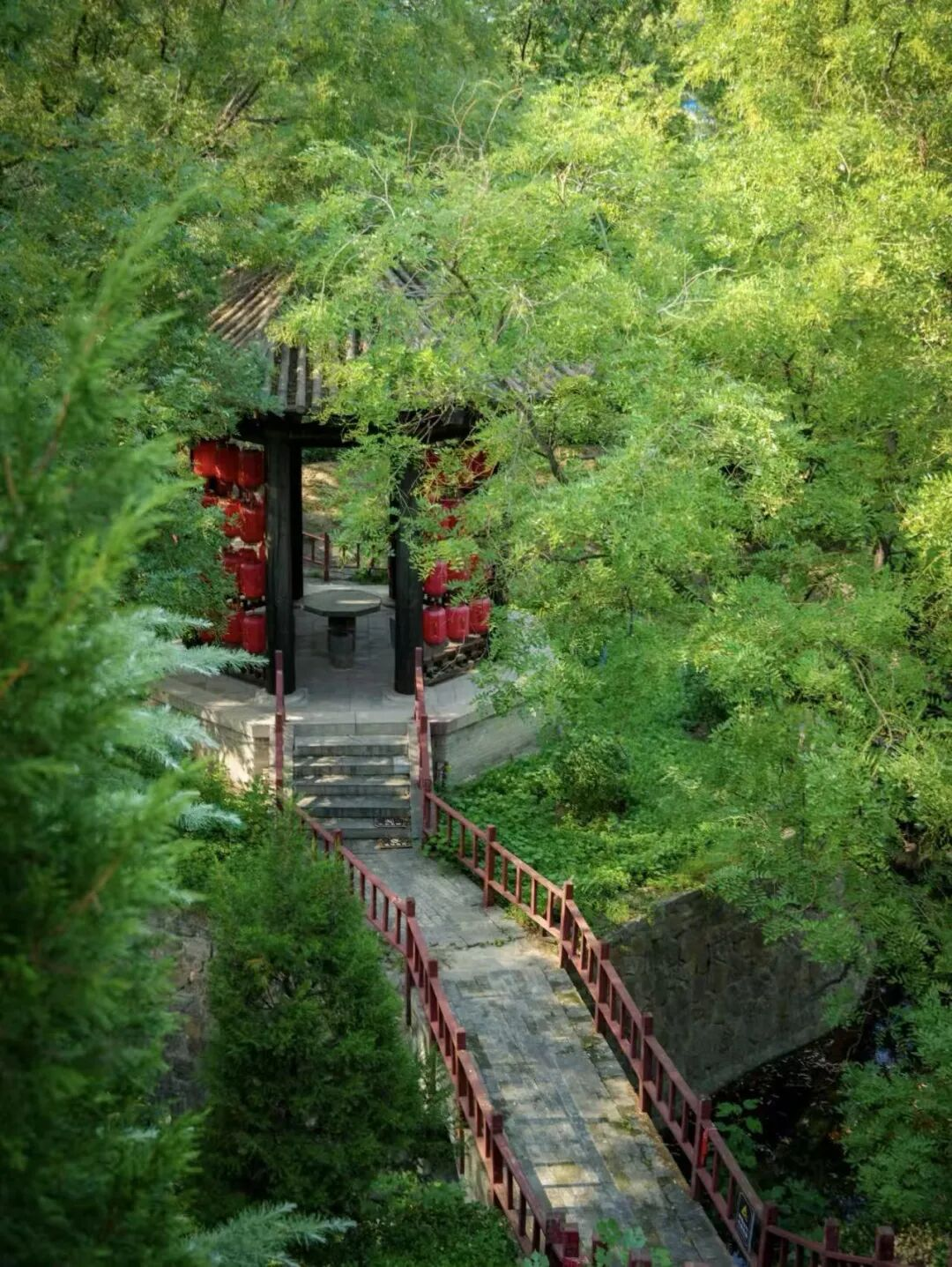 配图3