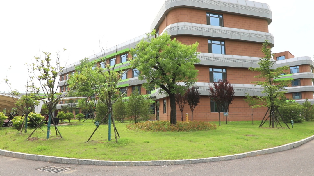 学校科学规划绿化布局,优选本土耐旱绿植,既保障绿化景观效果,又大幅降低浇灌与养护成本,打造生态节约型校园绿化体系。 配图5