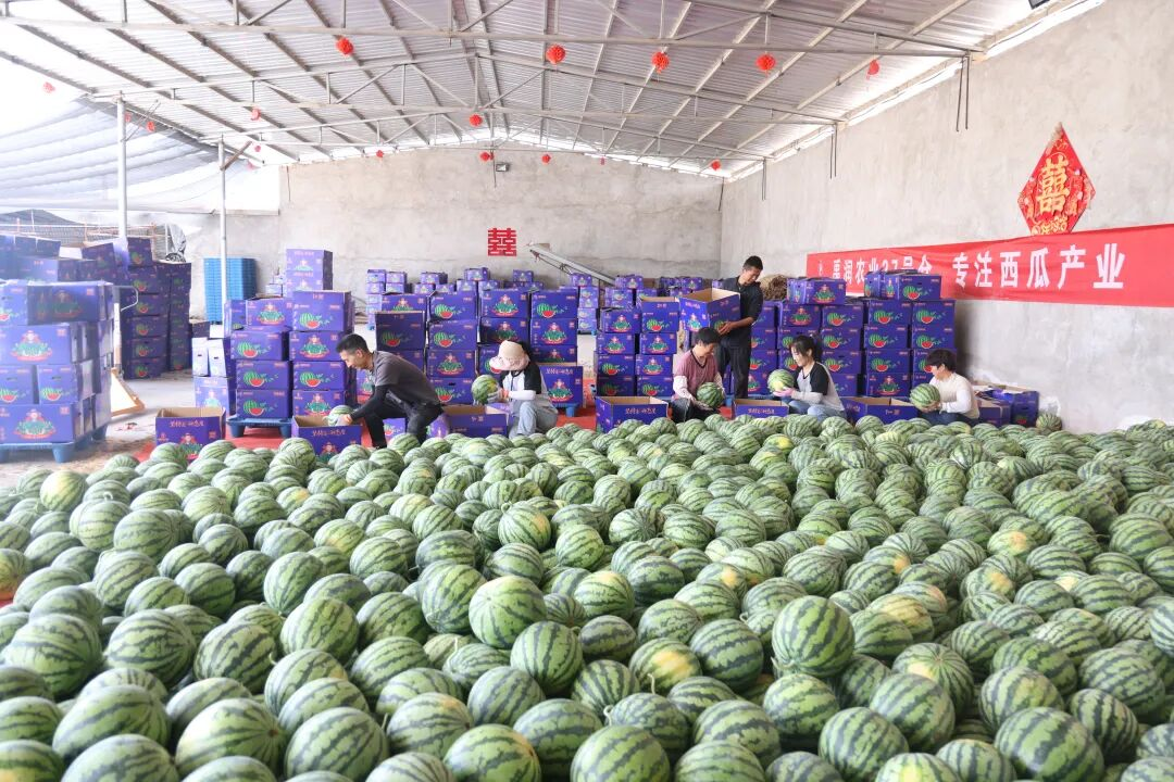 配图2
