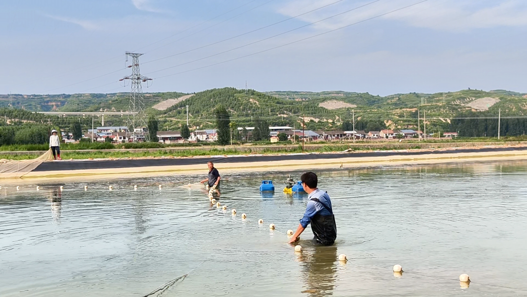 配图2