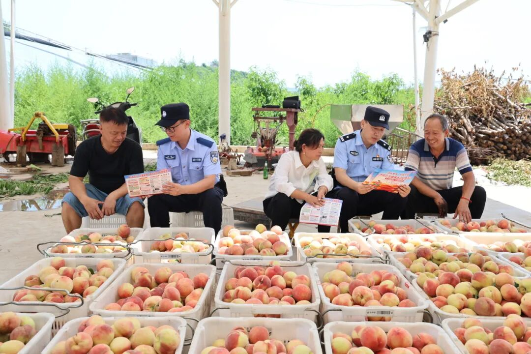 配图2