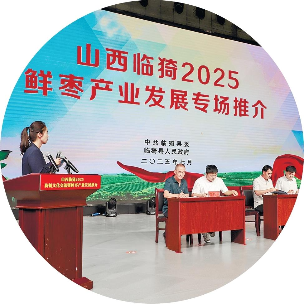 临猗鲜枣产业发展专场推介活动 配图4