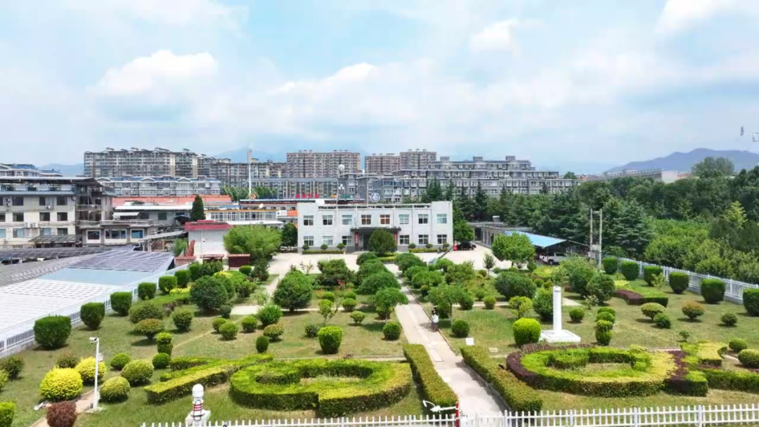 配图1