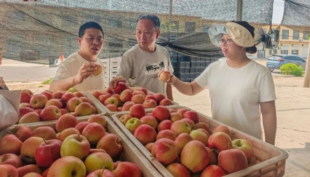 配图3