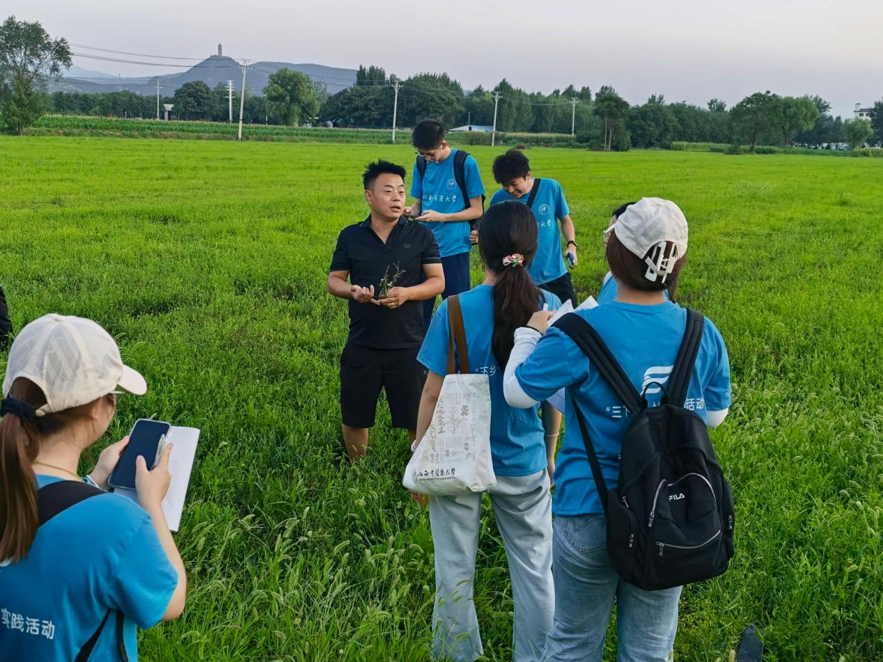 实践队员考察中药材种植基地 配图4